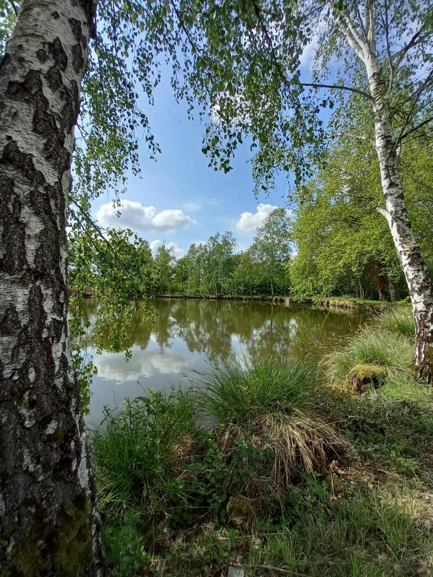 Le Chalet Limousin Folles Exterior foto
